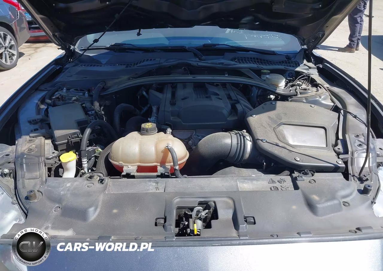 2019 Ford Mustang Ecoboost VIN:1FA6P8TH2K5118861 - 10