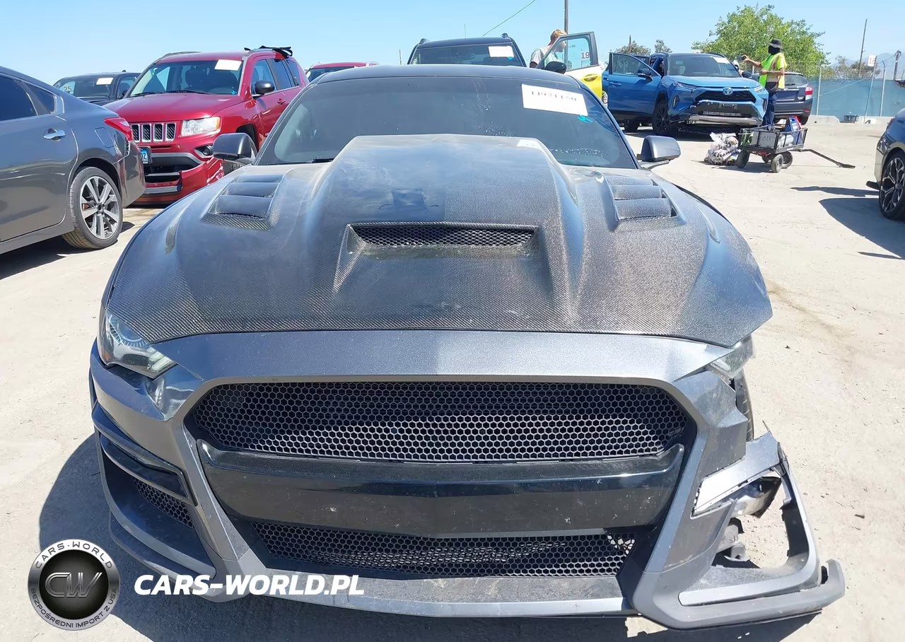 2019 Ford Mustang Ecoboost VIN:1FA6P8TH2K5118861 - 11