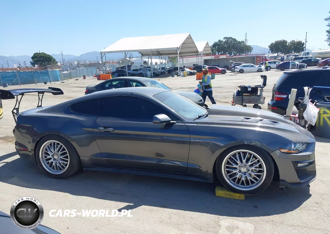 2019 Ford Mustang Ecoboost VIN:1FA6P8TH2K5118861 - 12