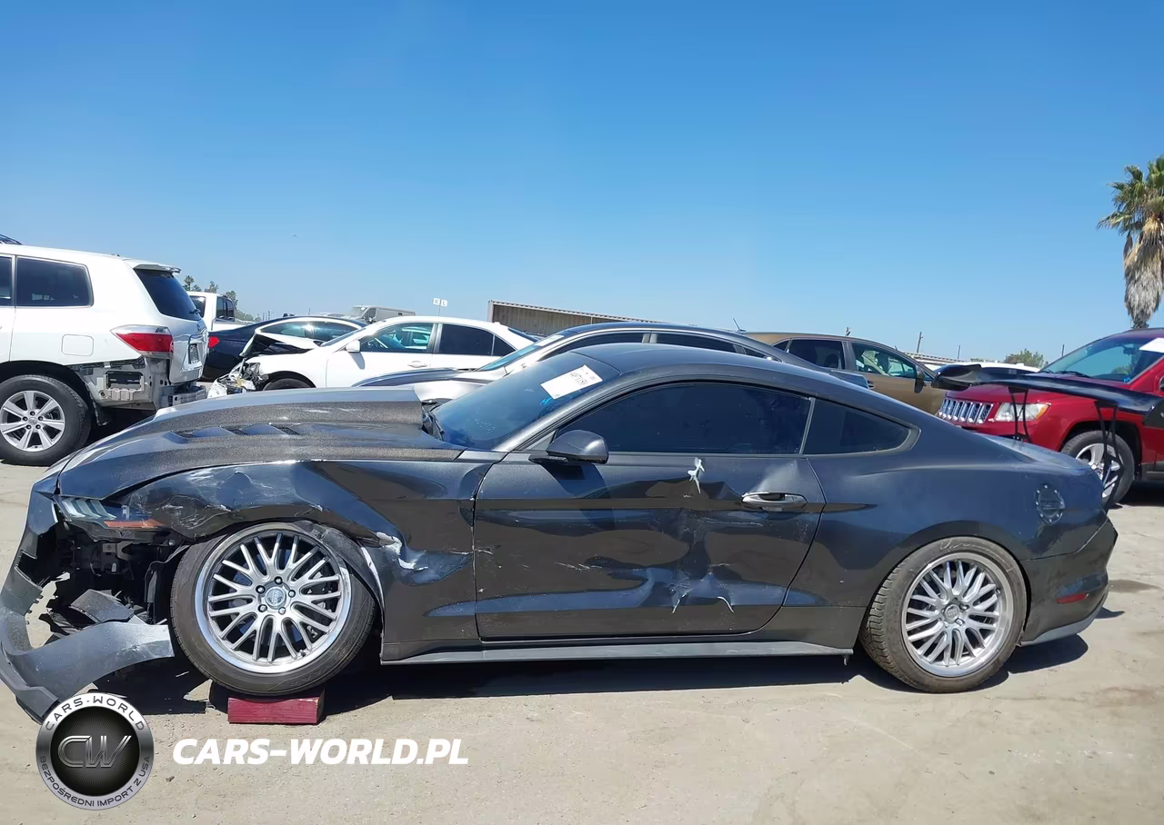 2019 Ford Mustang Ecoboost VIN:1FA6P8TH2K5118861 - 13