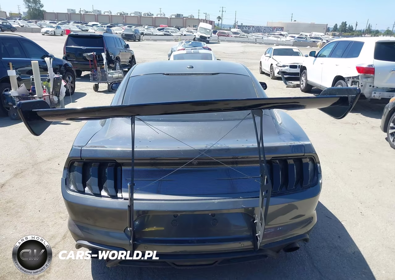 2019 Ford Mustang Ecoboost VIN:1FA6P8TH2K5118861 - 15