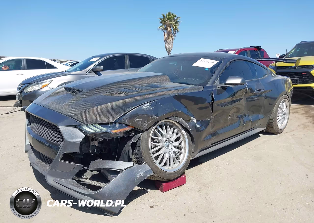 2019 Ford Mustang Ecoboost VIN:1FA6P8TH2K5118861 - 2