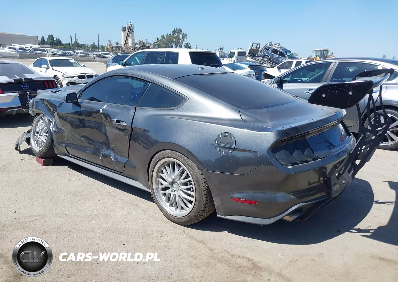 2019 Ford Mustang Ecoboost VIN:1FA6P8TH2K5118861 - 3