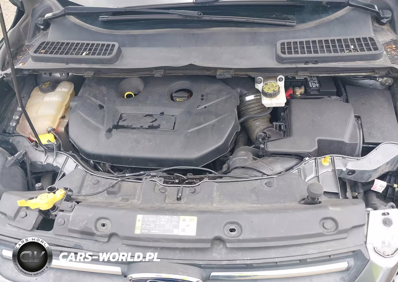 2014 Ford Escape Se VIN:1FMCU9G93EUD25392 - 10