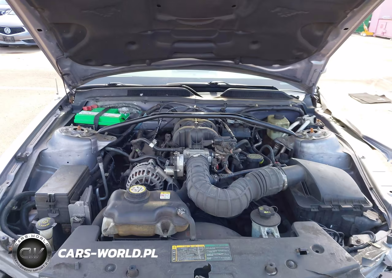 2006 Ford Mustang V6 VIN:1ZVFT80N765261064 - 10