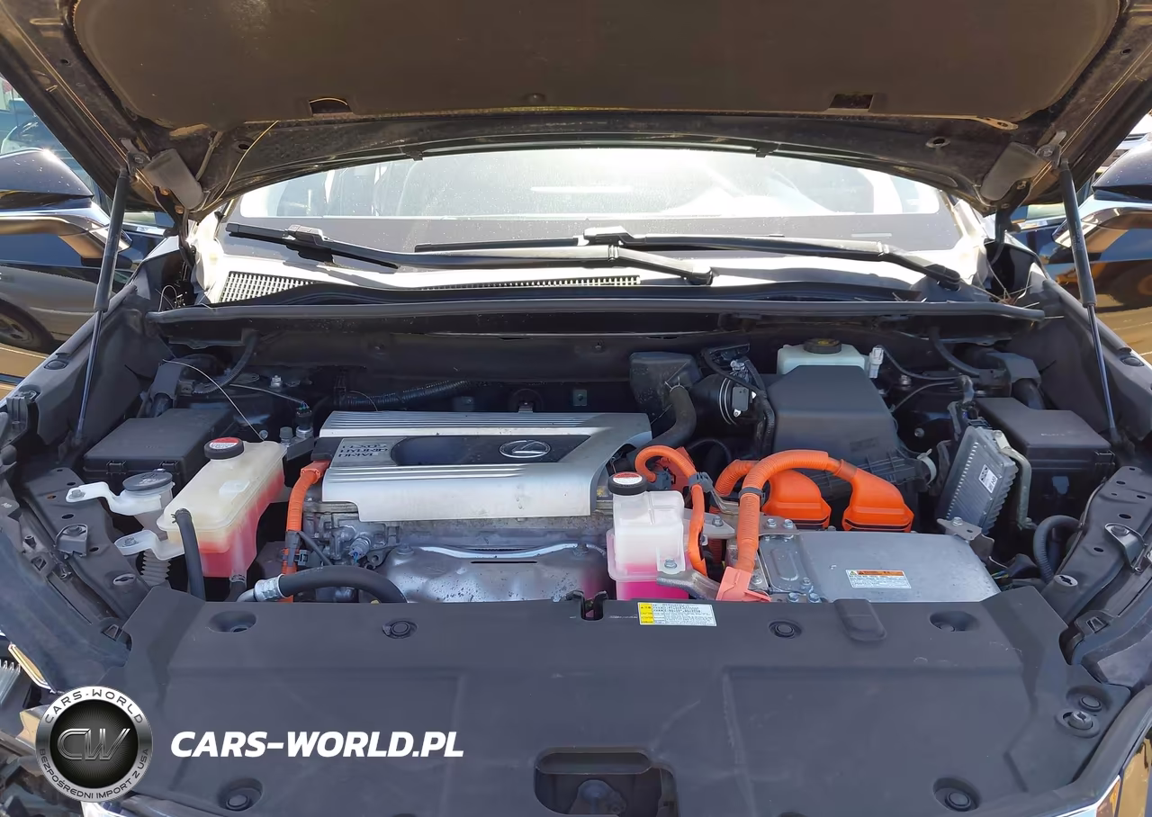 2015 Lexus Nx 300H VIN:JTJYWRBZ5F2007067 - 10