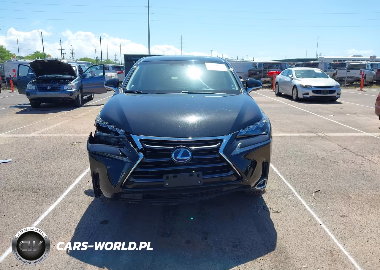 2015 Lexus Nx 300H VIN:JTJYWRBZ5F2007067 - 12
