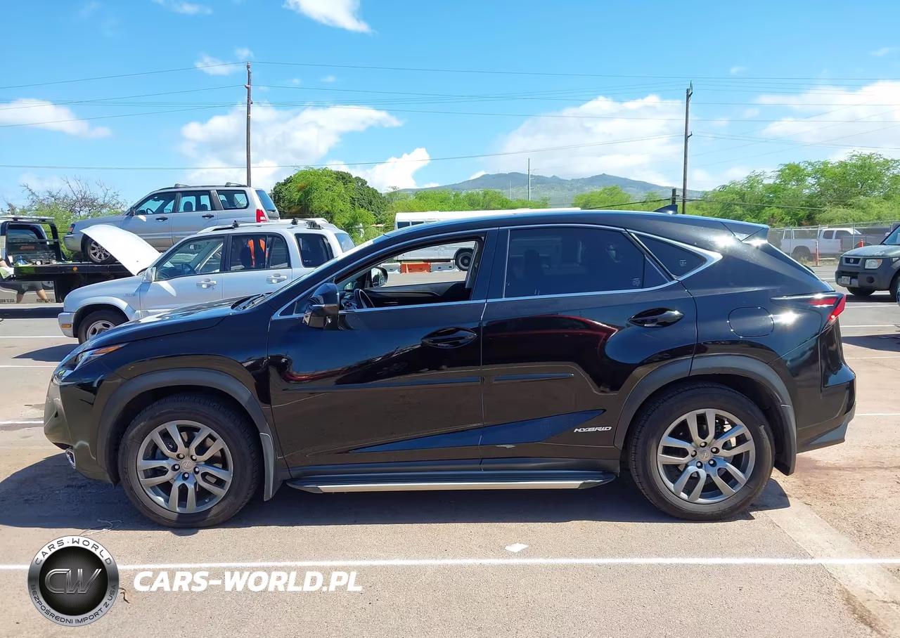 2015 Lexus Nx 300H VIN:JTJYWRBZ5F2007067 - 14
