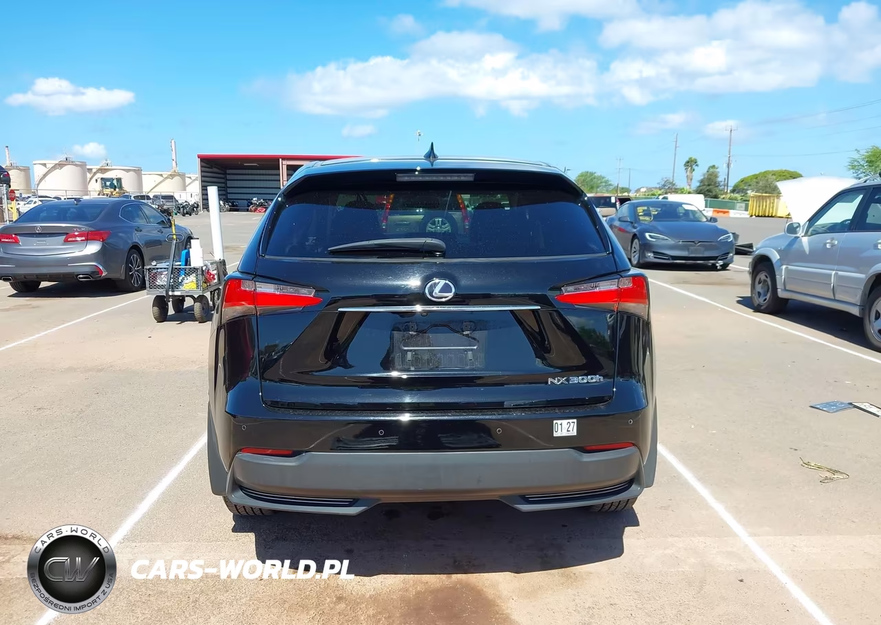 2015 Lexus Nx 300H VIN:JTJYWRBZ5F2007067 - 16
