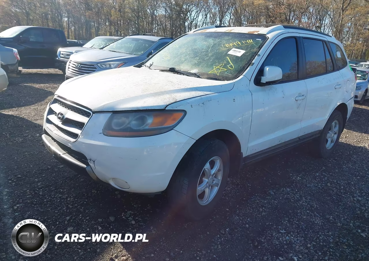 2007 Hyundai Santa Fe Gls VIN:5NMSG73D87H032295 - 2