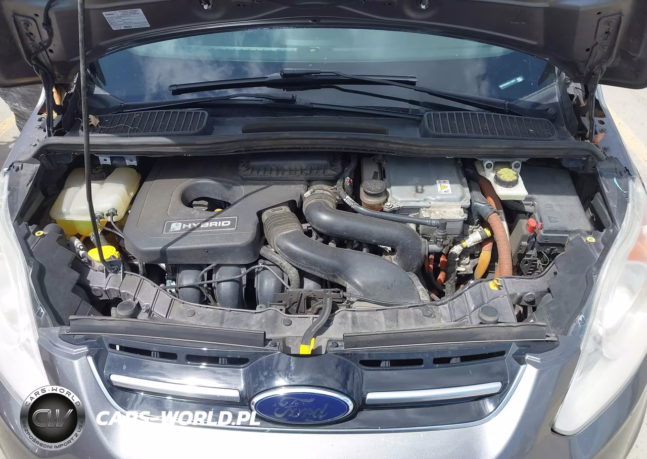 2014 Ford C-Max Hybrid Se VIN:1FADP5AU3EL519941 - 10
