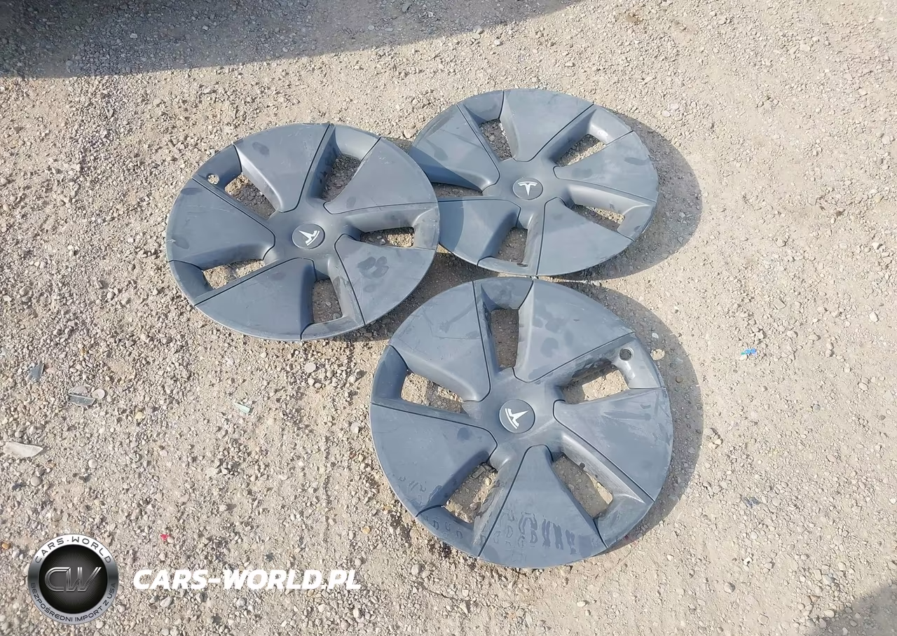 2021 Tesla Model 3 Standard Range Plus Rear-Wheel Drive VIN:5YJ3E1EA2MF978013 - 12