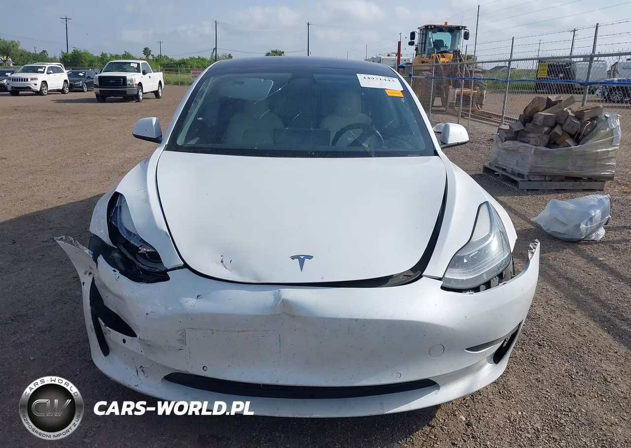 2021 Tesla Model 3 Standard Range Plus Rear-Wheel Drive VIN:5YJ3E1EA2MF978013 - 13