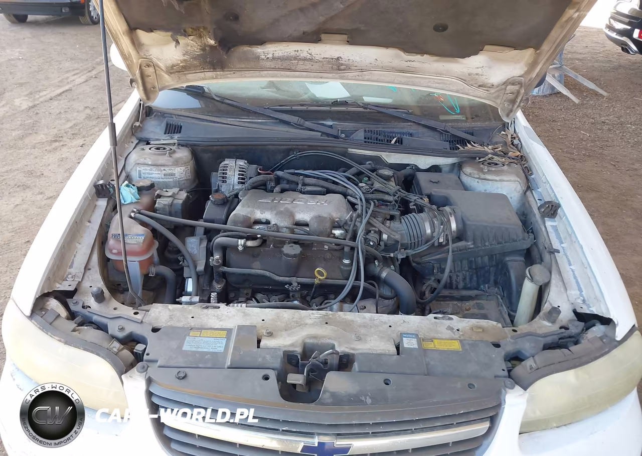 2001 Chevrolet Malibu VIN:1G1ND52J316151581 - 10