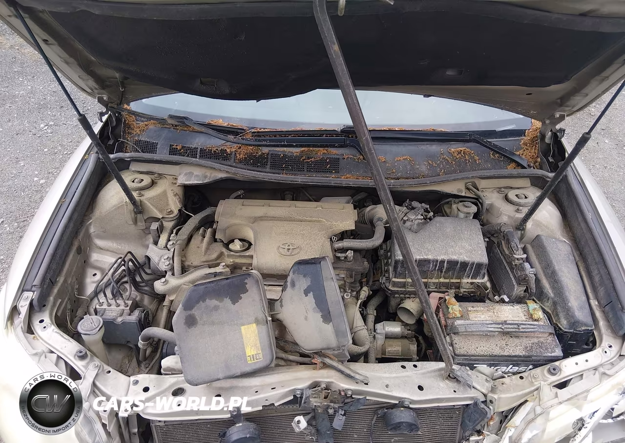 2013 Toyota Camry L VIN:4T4BF1FK9DR326868 - 10