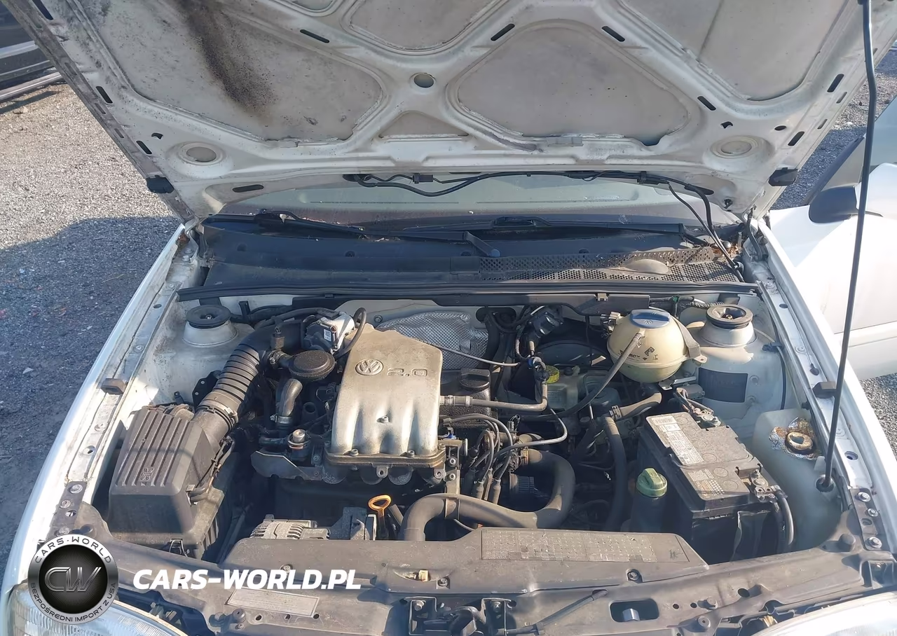1998 Volkswagen Cabrio Gls VIN:3VWBA61E3WM813130 - 10