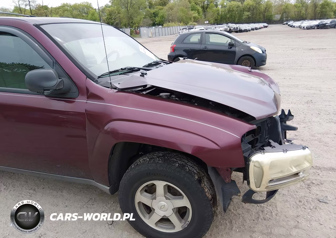 2006 Chevrolet Trailblazer Ls VIN:1GNDS13S562113414 - 19