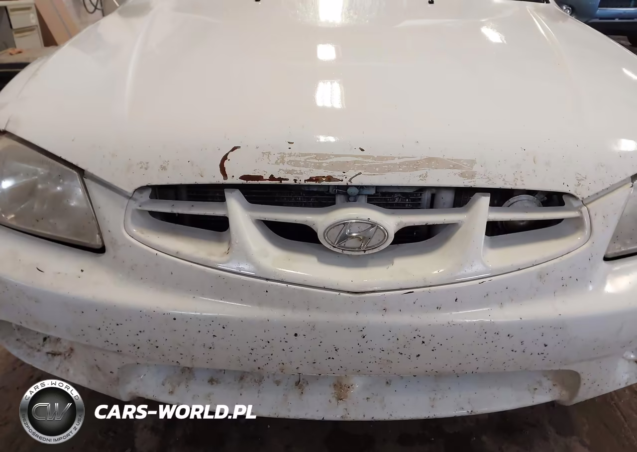 2002 Hyundai Accent L VIN:KMHCF35G52U210233 - 6
