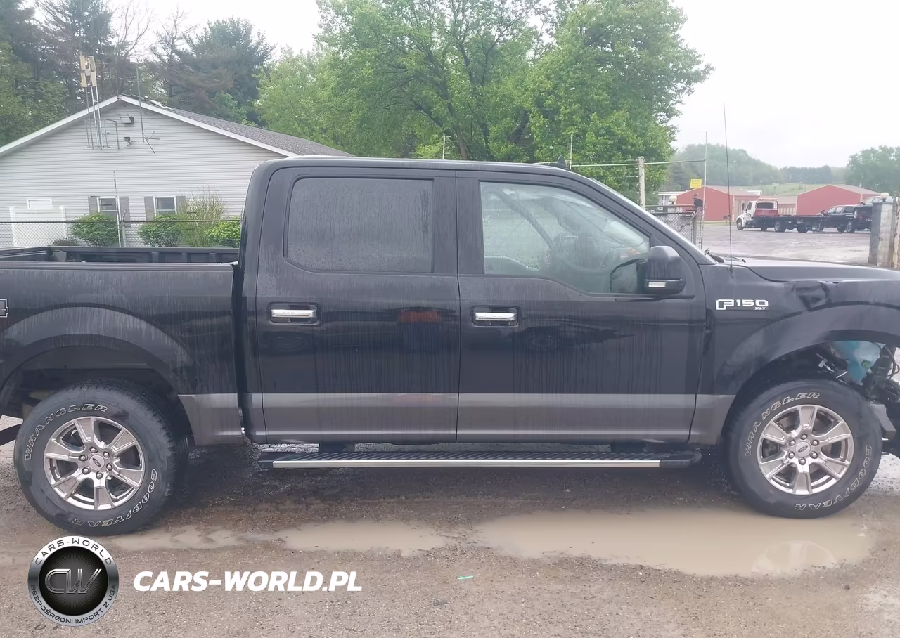 2019 Ford F-150 Xlt VIN:1FTEW1EP0KFD43861 - 13