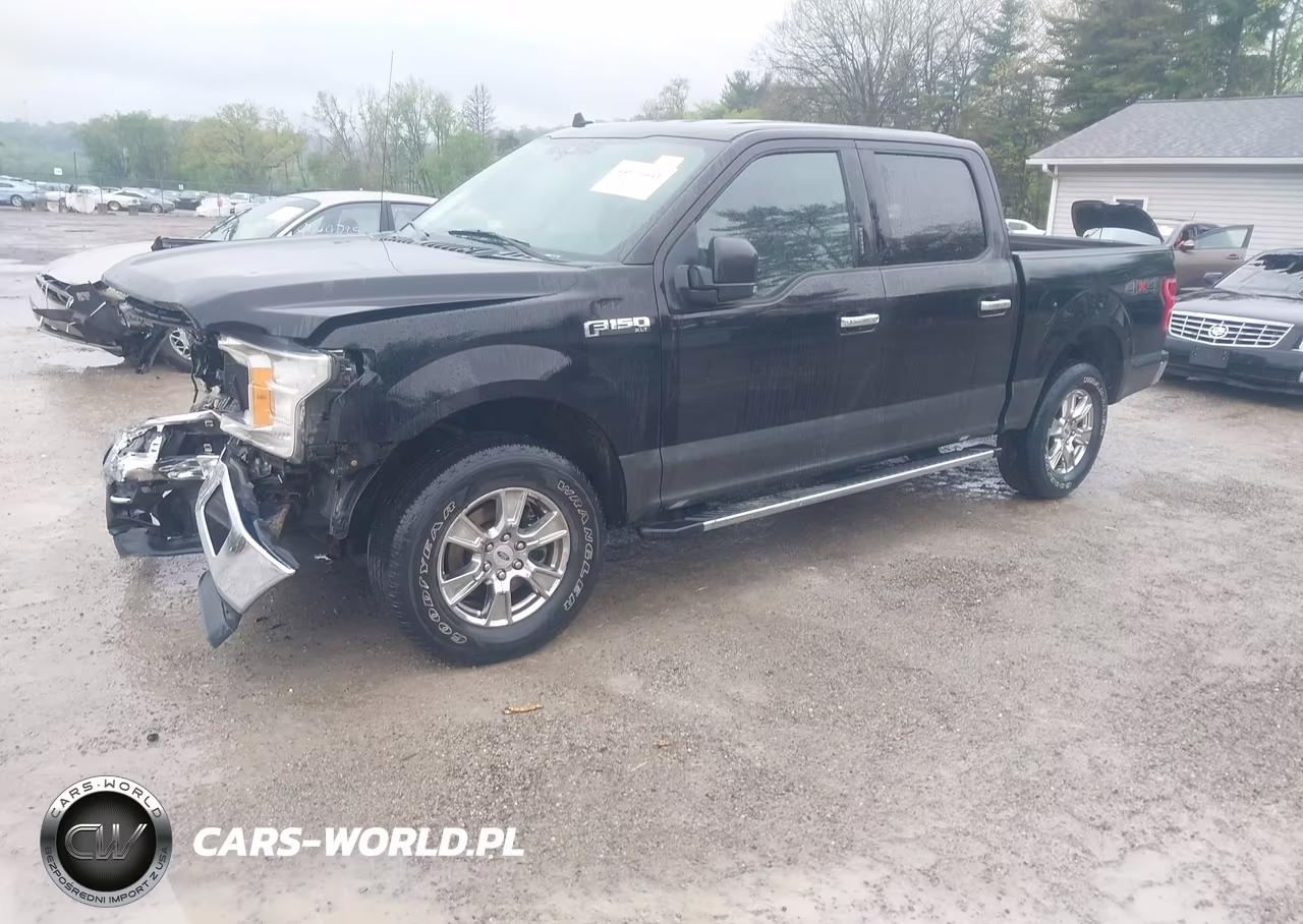 2019 Ford F-150 Xlt VIN:1FTEW1EP0KFD43861 - 2