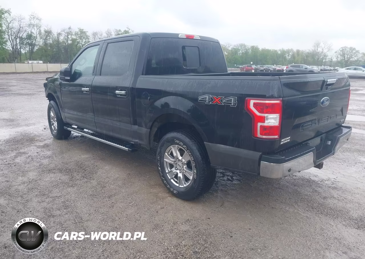 2019 Ford F-150 Xlt VIN:1FTEW1EP0KFD43861 - 3