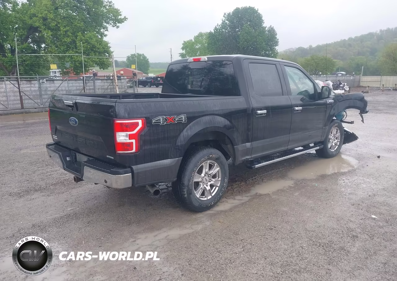 2019 Ford F-150 Xlt VIN:1FTEW1EP0KFD43861 - 4