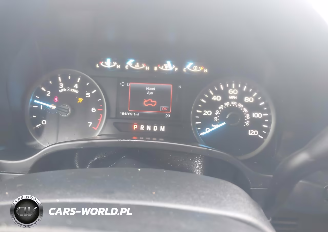 2019 Ford F-150 Xlt VIN:1FTEW1EP0KFD43861 - 7