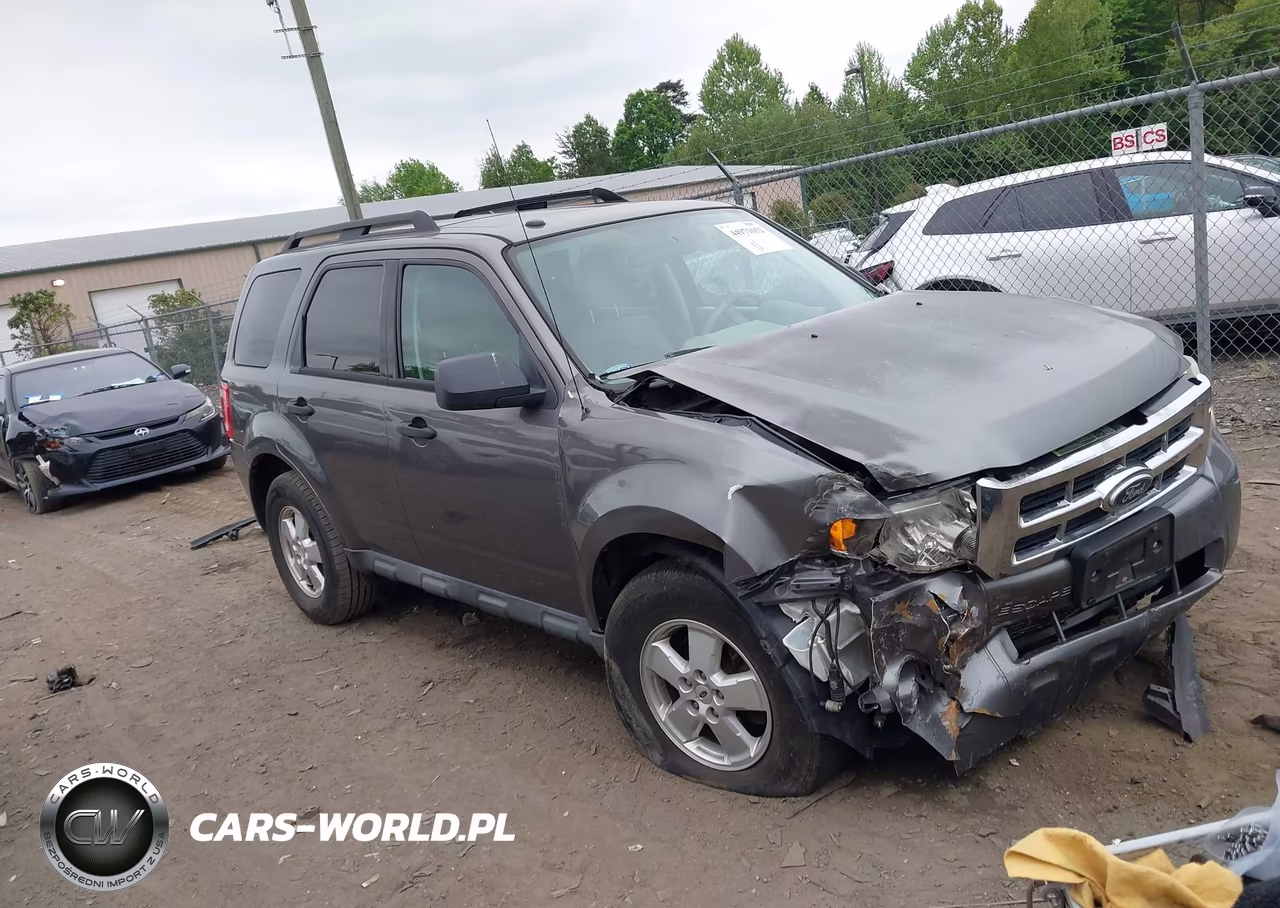 2010 Ford Escape Xlt