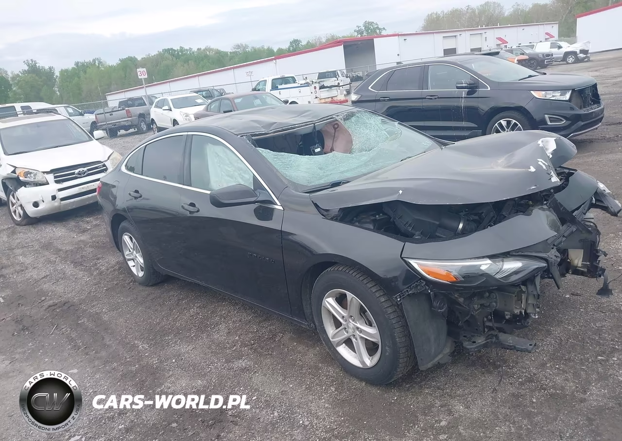 2019 Chevrolet Malibu 1Fl