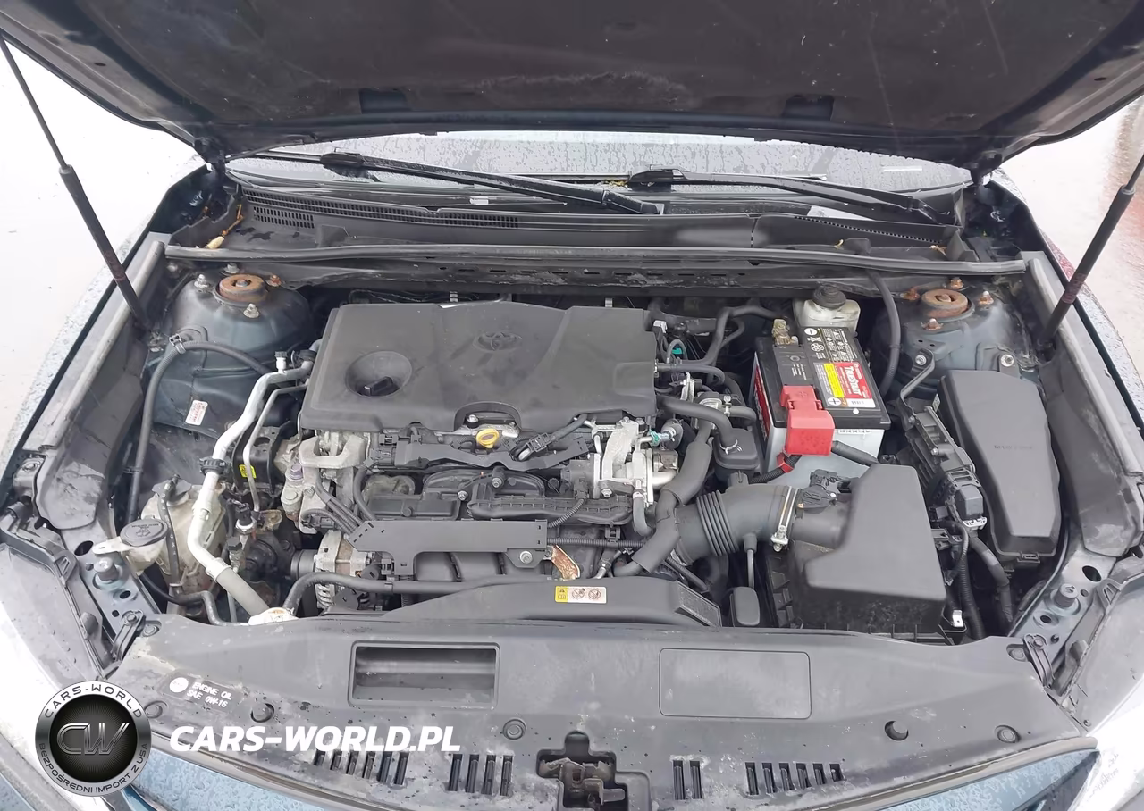2019 Toyota Camry Se VIN:4T1B11HK0KU692396 - 10
