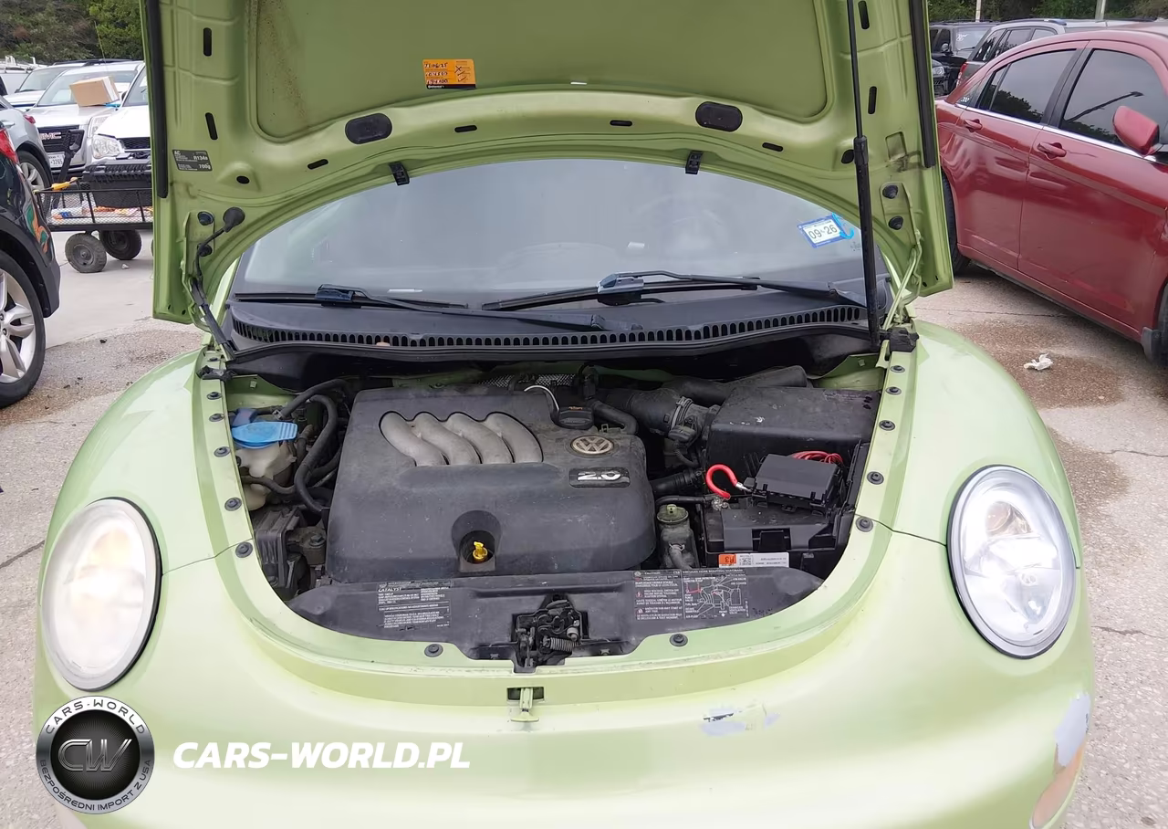 2004 Volkswagen New Beetle Gls 2.0L VIN:3VWCK31C04M419712 - 10