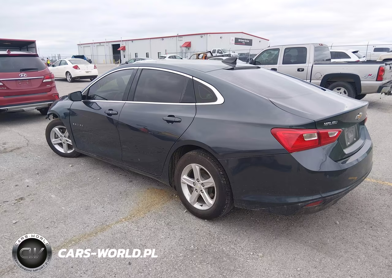 2021 Chevrolet Malibu Fwd 1Fl VIN:1G1ZC5ST1MF027397 - 3