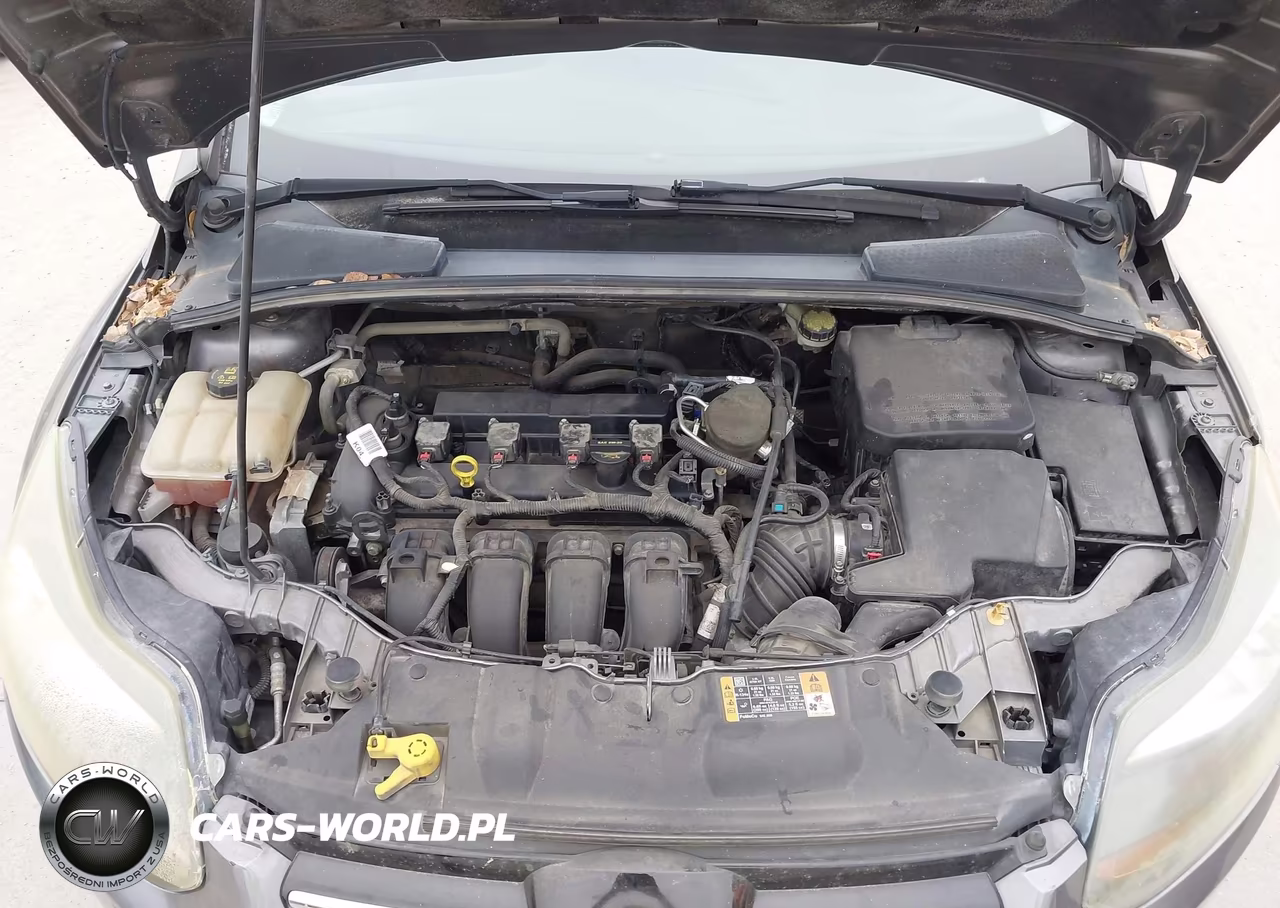 2014 Ford Focus Titanium VIN:1FADP3N27EL384007 - 10