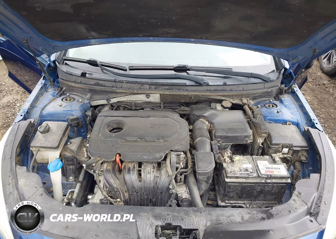 2015 Hyundai Sonata Se VIN:5NPE24AF6FH232351 - 10