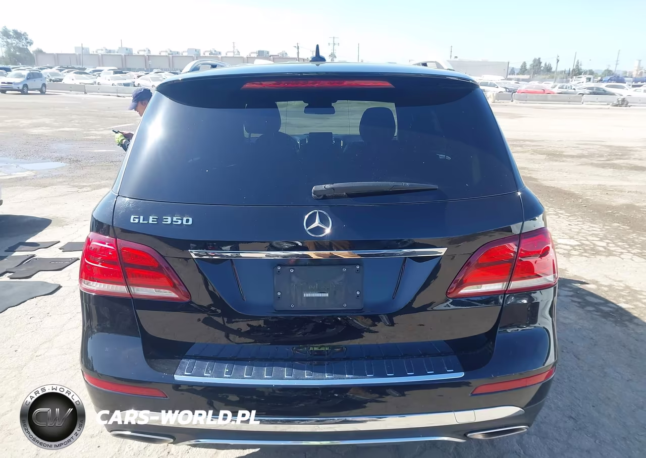 2017 Mercedes-Benz Gle 350 VIN:4JGDA5JB6HA843911 - 17