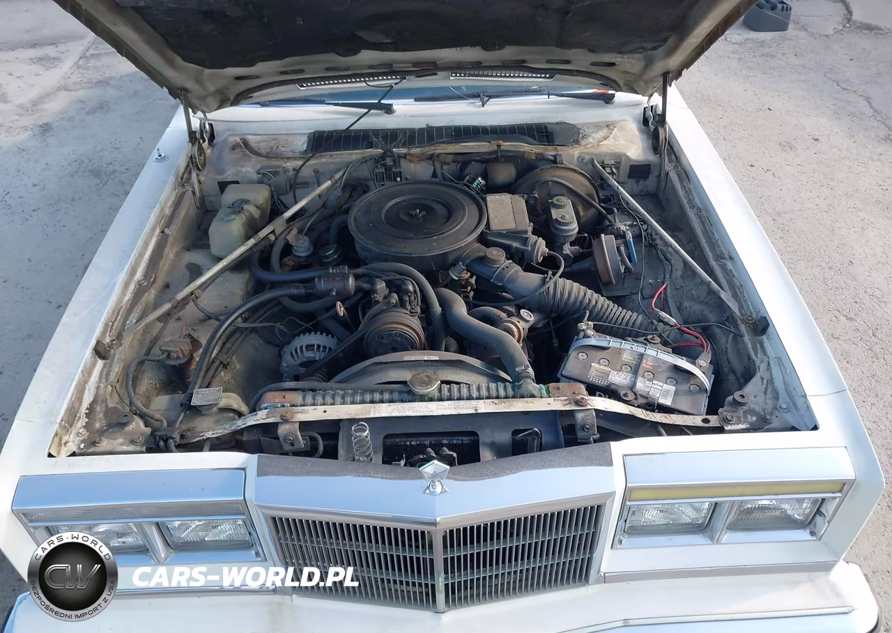 1985 Chrysler Fifth Avenue VIN:1C3BF66P8FX650097 - 10