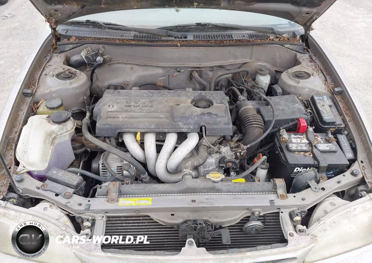 2000 Toyota Corolla Ce VIN:2T1BR12E1YC380397 - 10