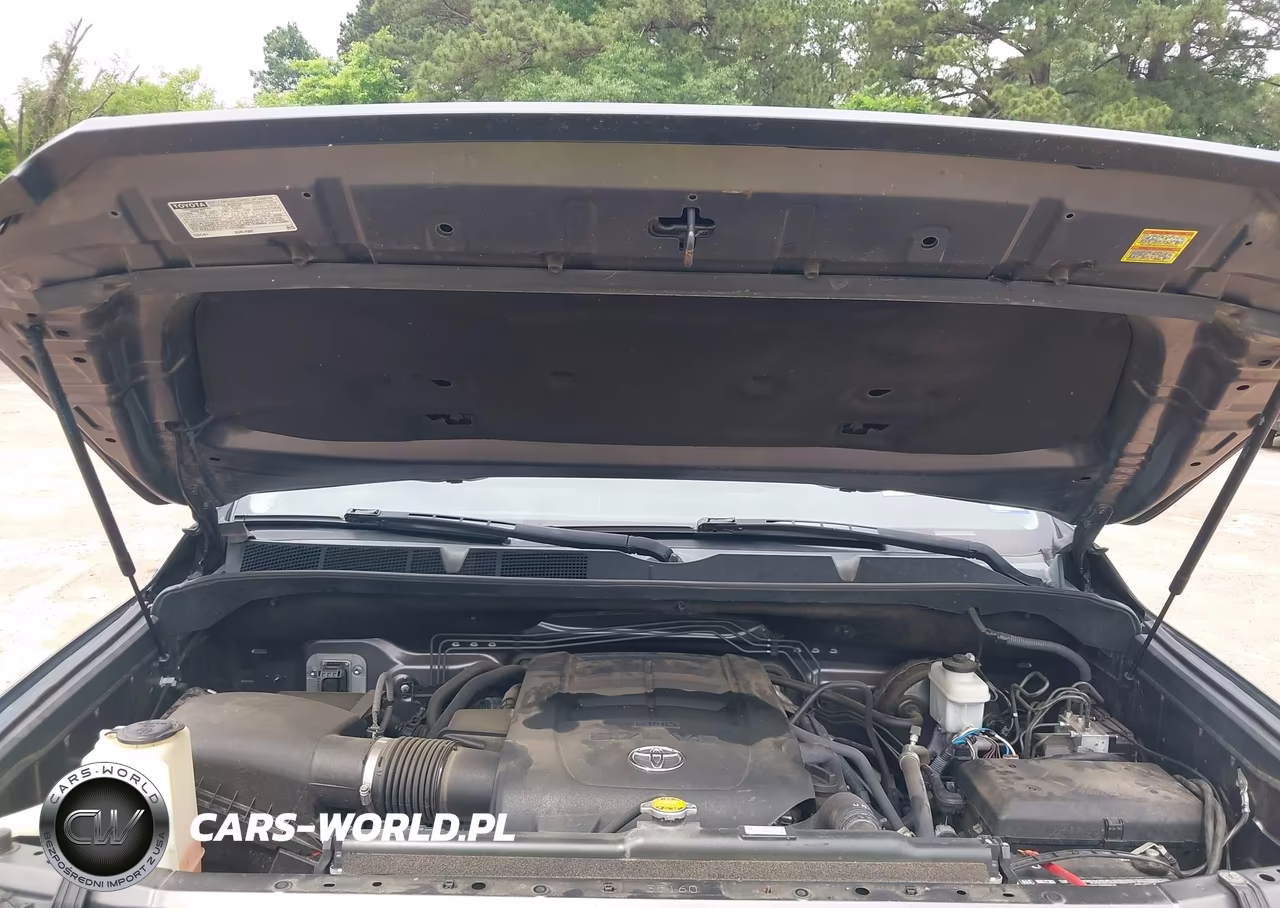 2017 Toyota Tundra Sr5 5.7L V8 VIN:5TFUW5F14HX659666 - 10