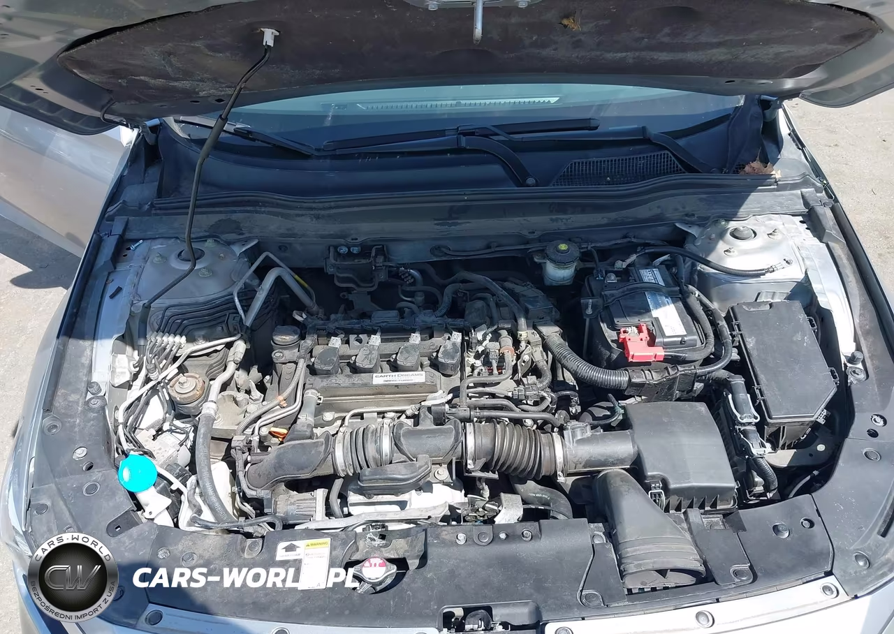 2019 Honda Accord Lx VIN:1HGCV1F13KA043623 - 10