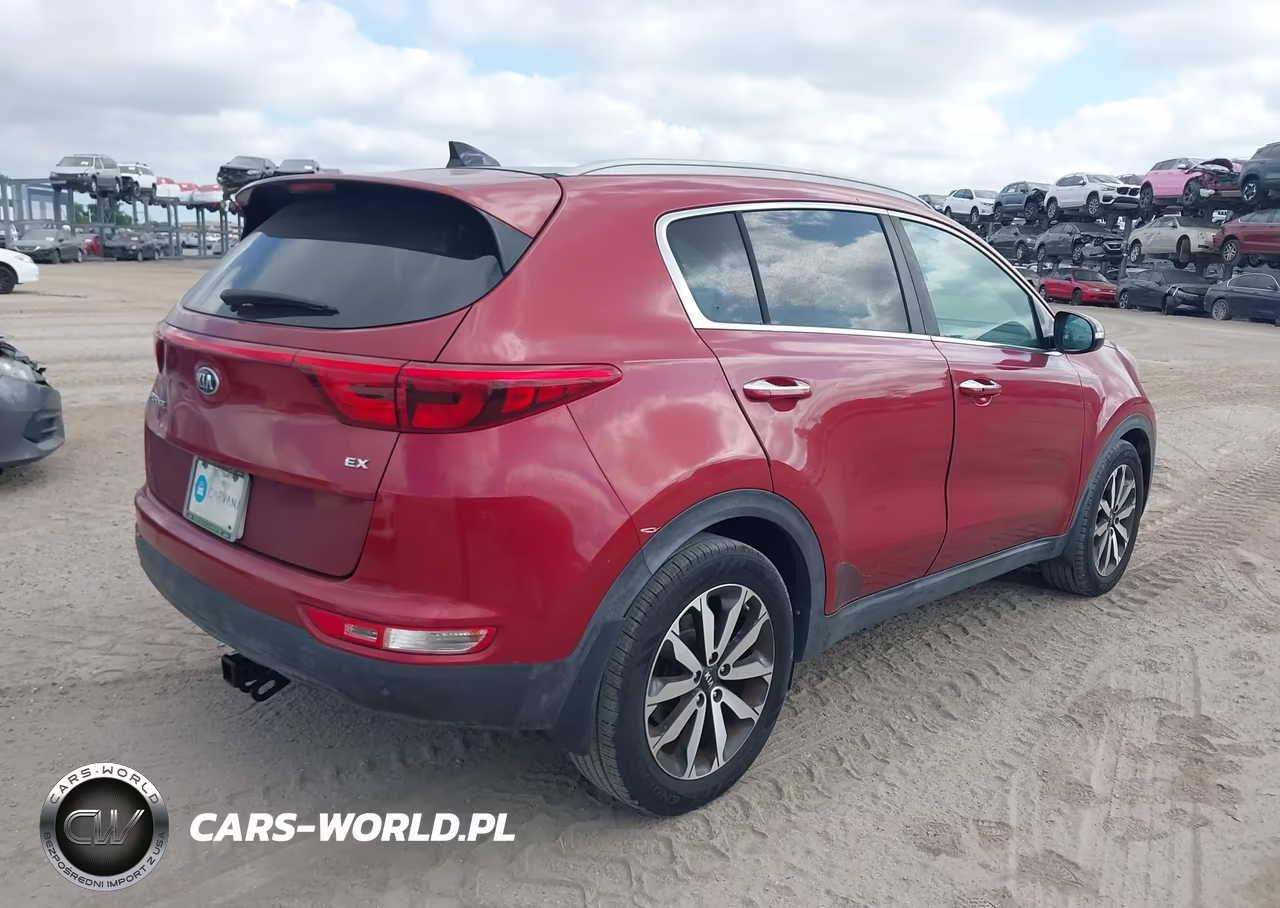 2017 Kia Sportage Ex VIN:KNDPN3AC5H7166494 - 4