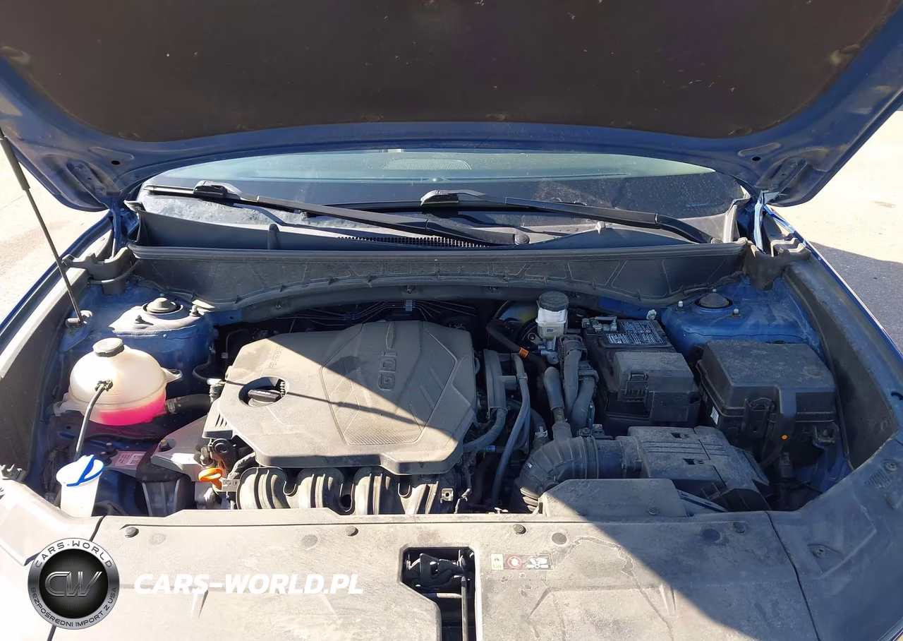 2023 Hyundai Tucson Limited VIN:5NMJECAE2PH253039 - 10