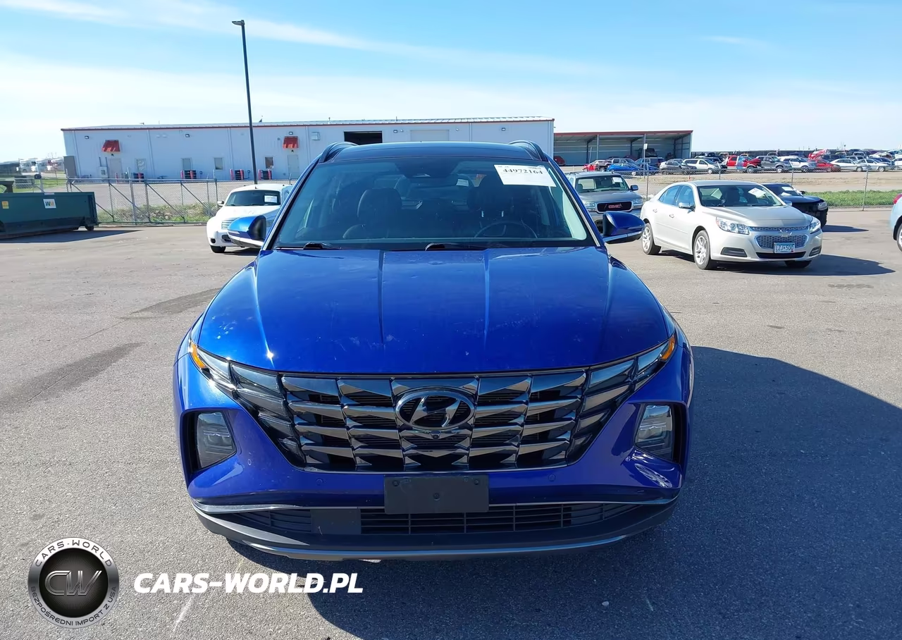 2023 Hyundai Tucson Limited VIN:5NMJECAE2PH253039 - 12