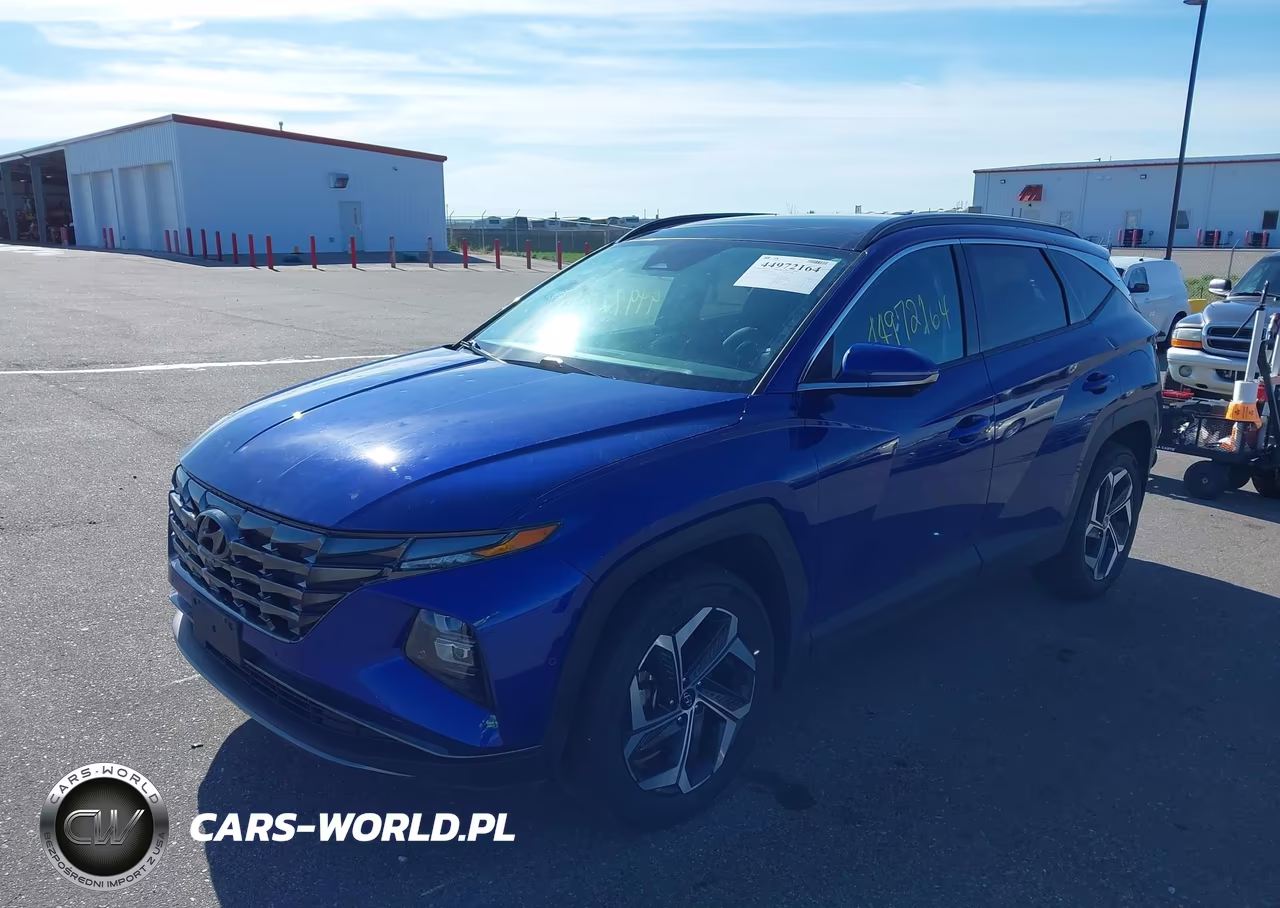 2023 Hyundai Tucson Limited VIN:5NMJECAE2PH253039 - 2