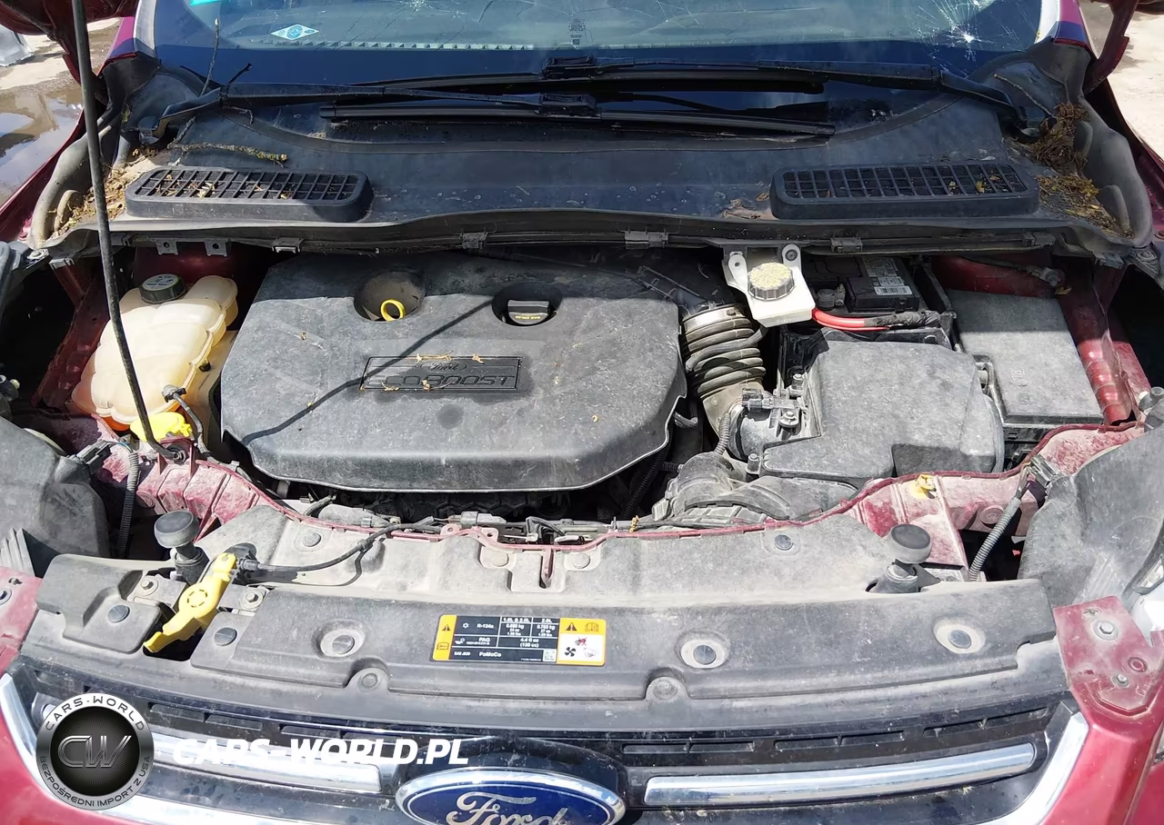 2013 Ford Escape Sel VIN:1FMCU0H9XDUD23812 - 10
