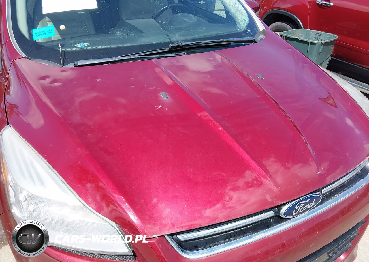 2013 Ford Escape Sel VIN:1FMCU0H9XDUD23812 - 12