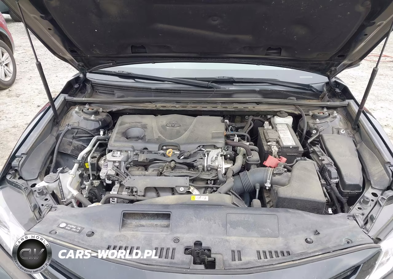 2020 Toyota Camry Se VIN:4T1G11AK1LU972555 - 10