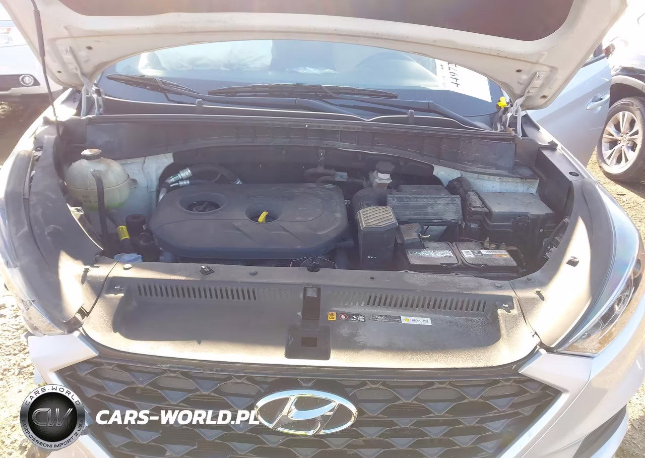 2019 Hyundai Tucson Se VIN:KM8J2CA47KU850894 - 10