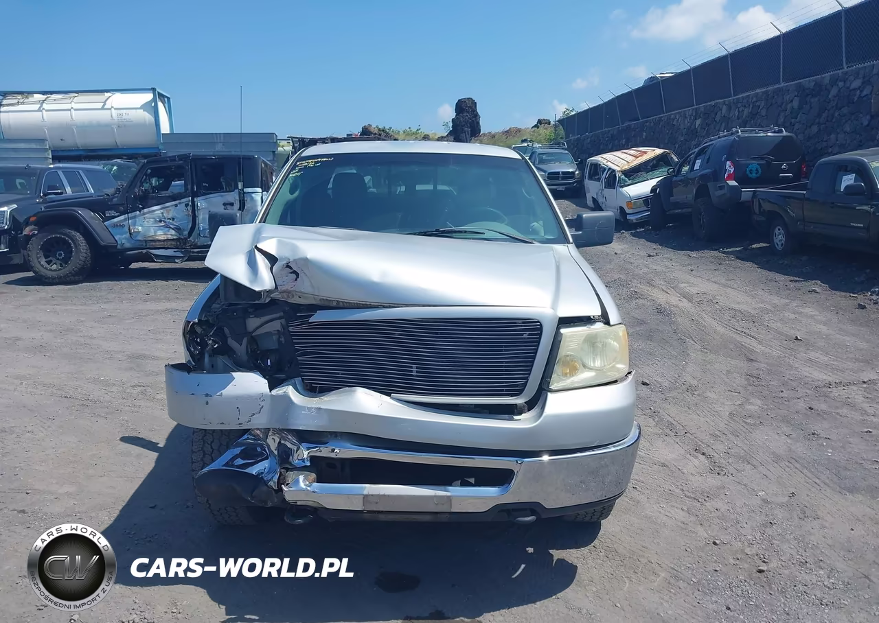 2006 Ford F-150 Fx4-Lariat-Xl-Xlt VIN:1FTPX145X6NA11251 - 12