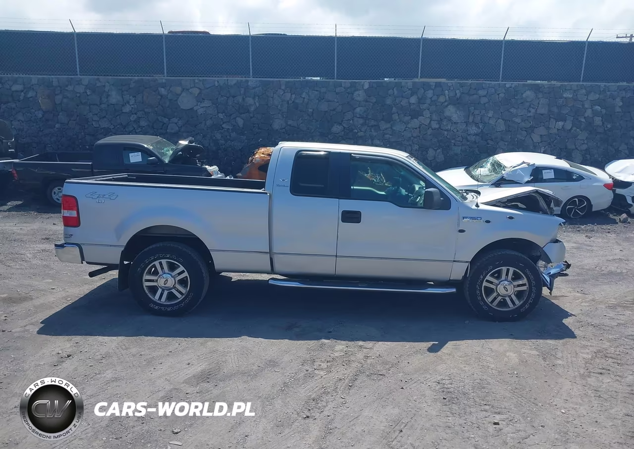 2006 Ford F-150 Fx4-Lariat-Xl-Xlt VIN:1FTPX145X6NA11251 - 13