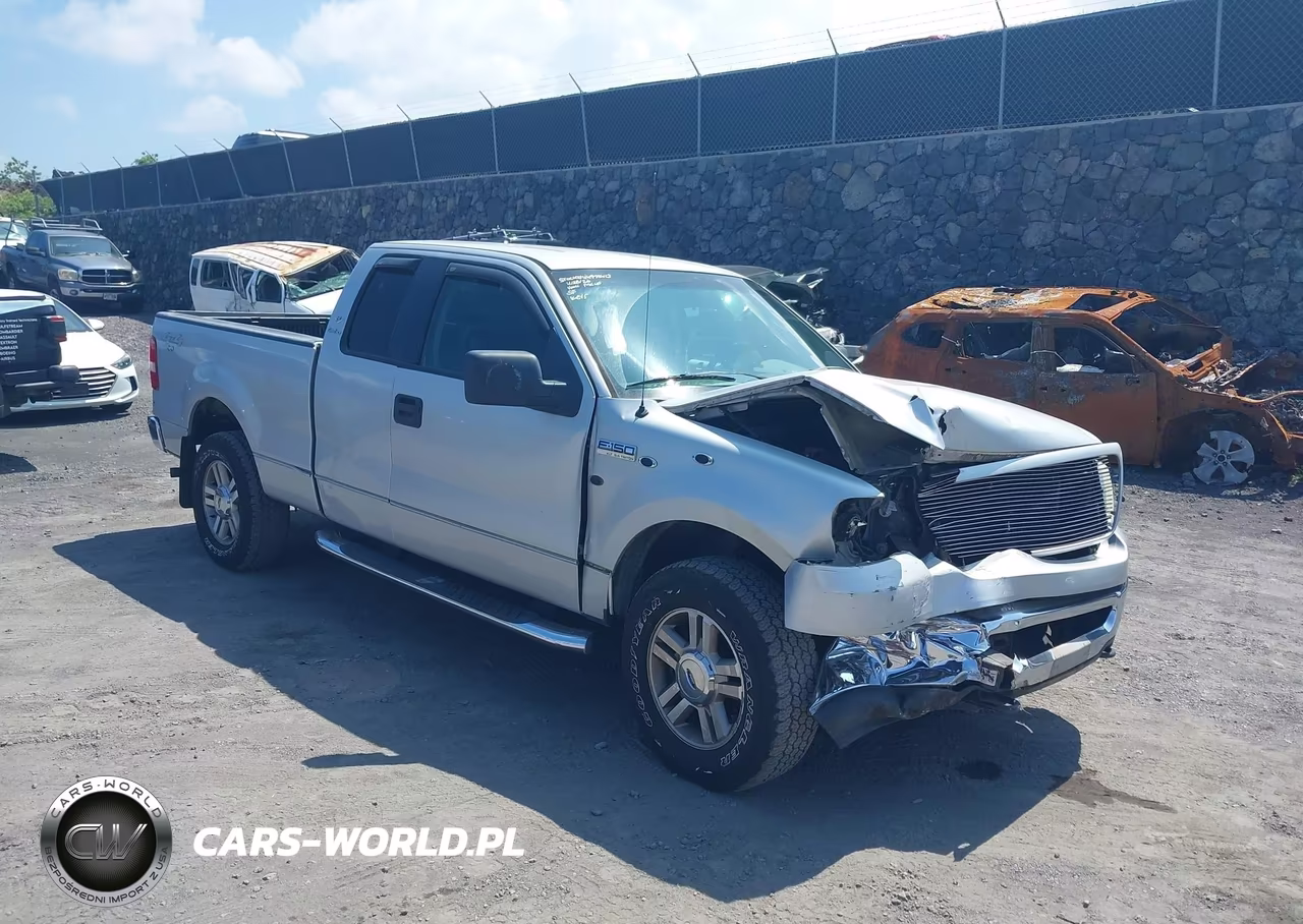 2006 Ford F-150 Fx4-Lariat-Xl-Xlt VIN:1FTPX145X6NA11251 - 6